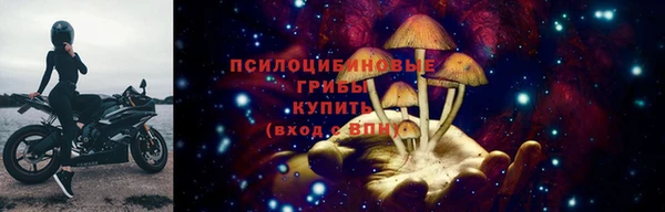 мдпв Протвино